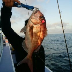 新幸丸 釣果