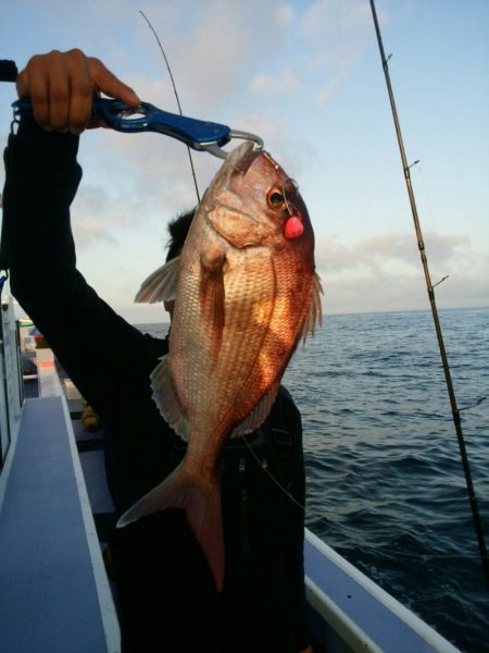 新幸丸 釣果