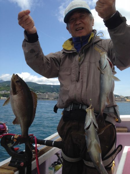 晃山丸 釣果