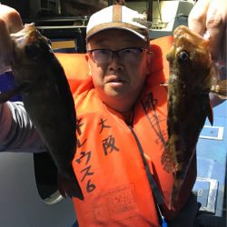 ヤザワ渡船 釣果