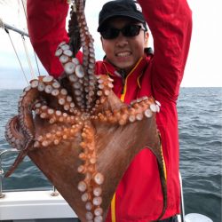 ビッグファイター 釣果