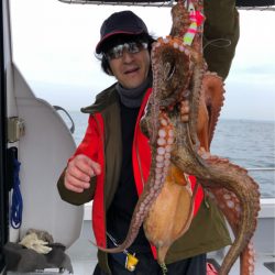 ビッグファイター 釣果