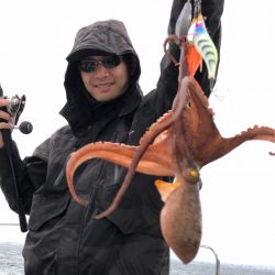 ビッグファイター 釣果