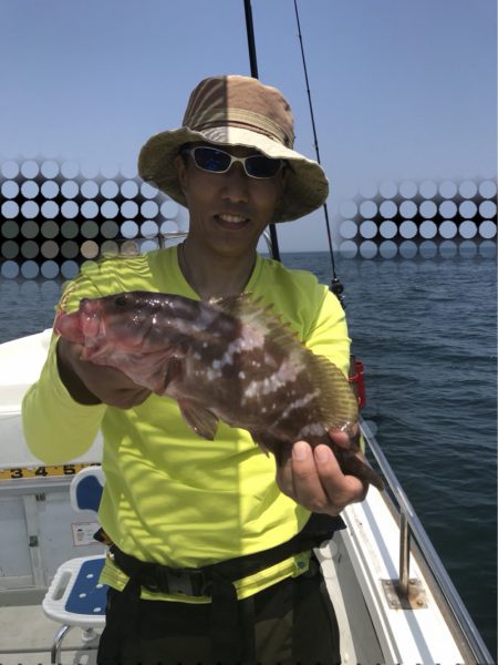 遊漁船メテオ 釣果