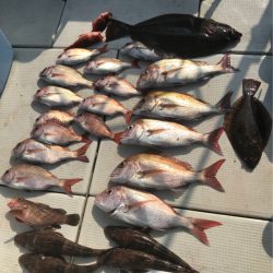 遊漁船メテオ 釣果