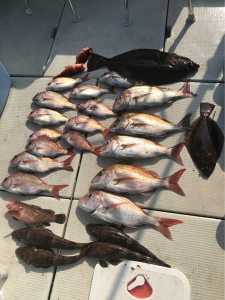 遊漁船メテオ 釣果