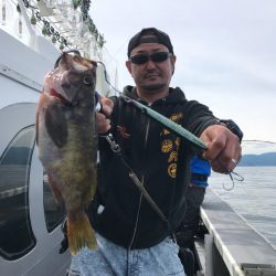 シーランチ 釣果