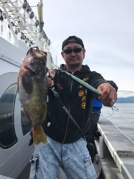 シーランチ 釣果