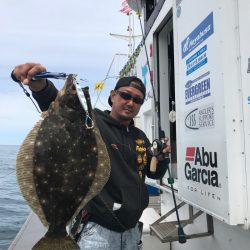 シーランチ 釣果