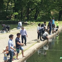 白州トラウトフィッシングエリア　シルフ 釣果