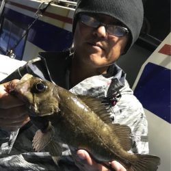 ヤザワ渡船 釣果