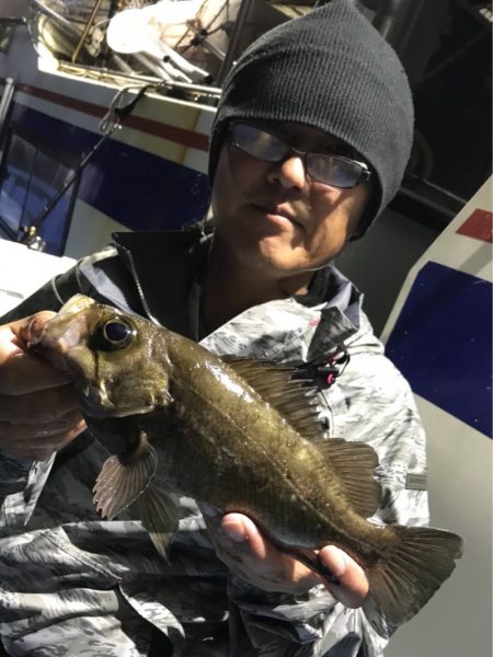 ヤザワ渡船 釣果