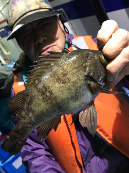 ヤザワ渡船 釣果