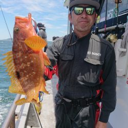ありもと丸 釣果