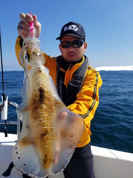 ソルトウォーターガイドフレンズ 釣果