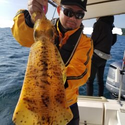 ソルトウォーターガイドフレンズ 釣果