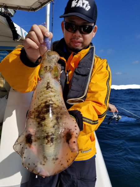 ソルトウォーターガイドフレンズ 釣果