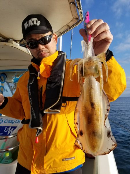 ソルトウォーターガイドフレンズ 釣果