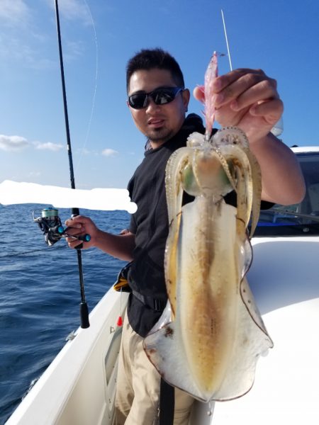 ソルトウォーターガイドフレンズ 釣果