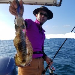 ソルトウォーターガイドフレンズ 釣果