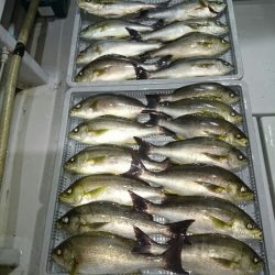 エンペラー 釣果