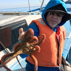 ヤザワ渡船 釣果