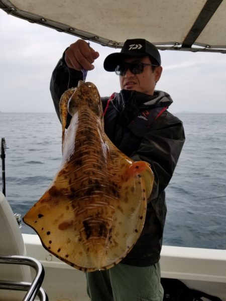 ソルトウォーターガイドフレンズ 釣果