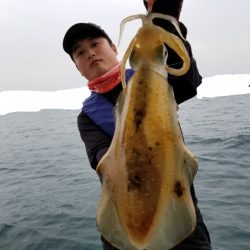 ソルトウォーターガイドフレンズ 釣果