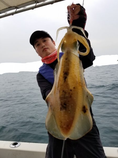 ソルトウォーターガイドフレンズ 釣果