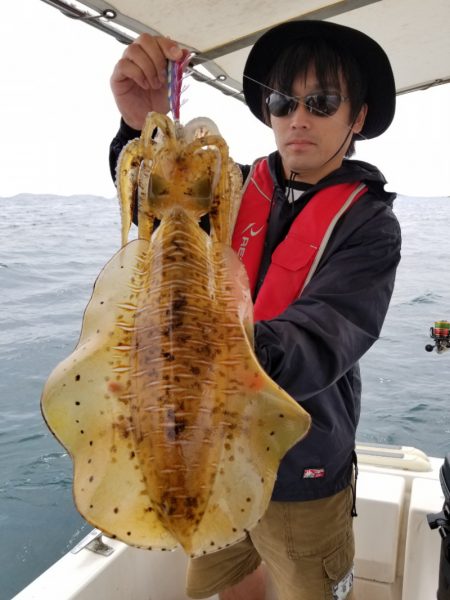 ソルトウォーターガイドフレンズ 釣果