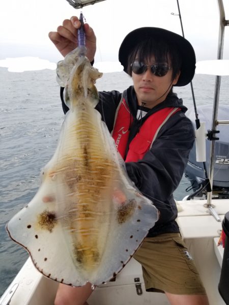 ソルトウォーターガイドフレンズ 釣果