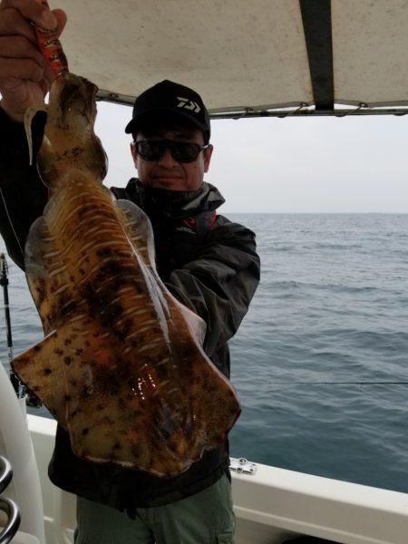 ソルトウォーターガイドフレンズ 釣果