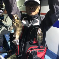 ヤザワ渡船 釣果