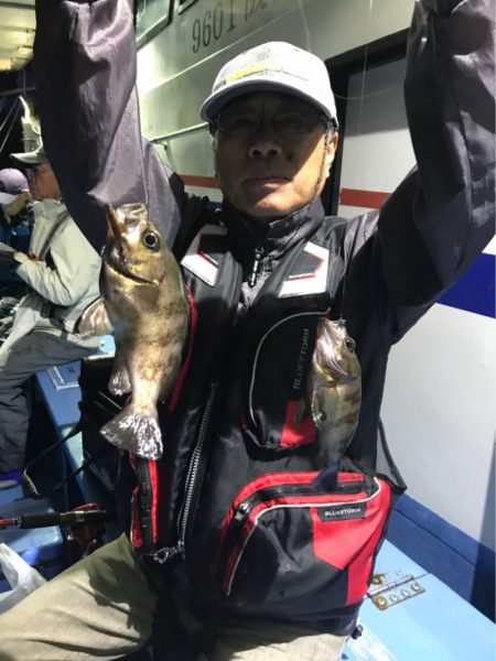 ヤザワ渡船 釣果