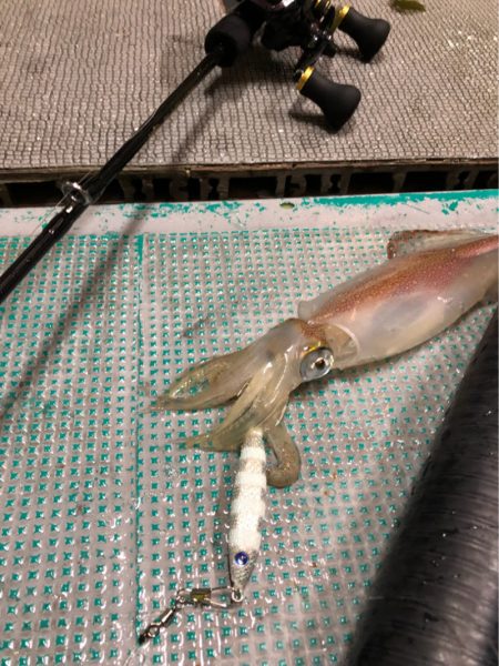 ＴＡＲＯＭＡＲＵ 釣果