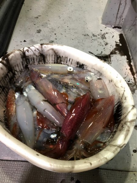 ＴＡＲＯＭＡＲＵ 釣果