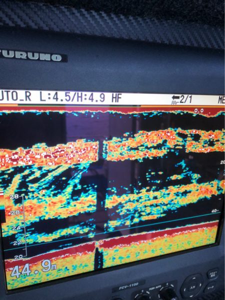 ＴＡＲＯＭＡＲＵ 釣果