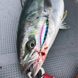 ＴＡＲＯＭＡＲＵ 釣果