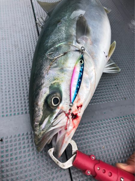 ＴＡＲＯＭＡＲＵ 釣果