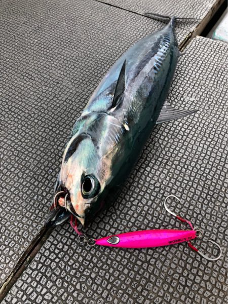 ＴＡＲＯＭＡＲＵ 釣果