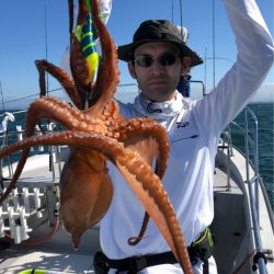 ビッグファイター 釣果