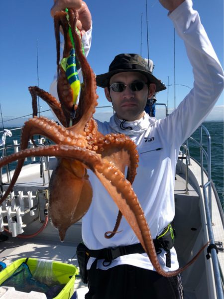 ビッグファイター 釣果