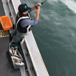 シーランチ 釣果