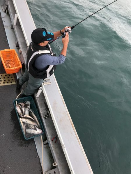 シーランチ 釣果