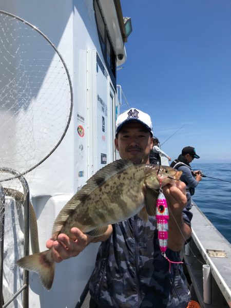 シーランチ 釣果