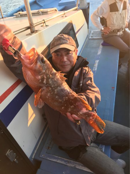 ヤザワ渡船 釣果