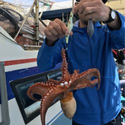 ヤザワ渡船 釣果