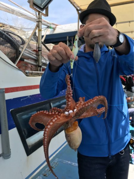 ヤザワ渡船 釣果