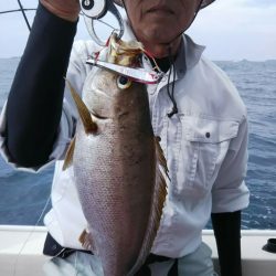 光生丸 釣果