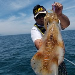 ソルトウォーターガイドフレンズ 釣果